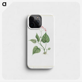 1-12_Stirpes-Novae_phone