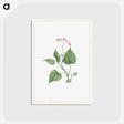 1-12_Stirpes-Novae_postcard