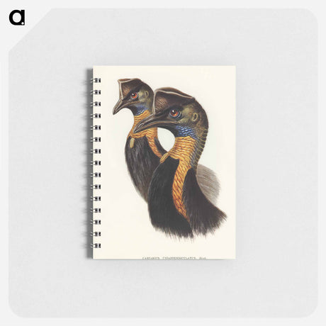 アートメモ帳-One-Carunculated Cassowary
 - オーストラリアの鳥 Memo.