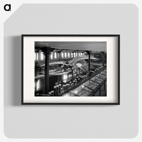 1-12_The-Burton-Brothers_blk