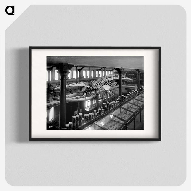 1-12_The-Burton-Brothers_blk