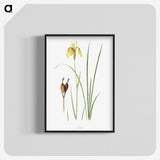 1-12_The-Genus-Iris_blk-crop