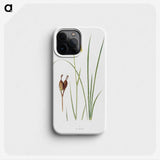 1-12_The-Genus-Iris_phone