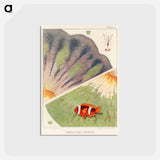 アートポストカード-Barrier Reef Anemones - オーストラリアのグレートバリアリーフ Postcard.