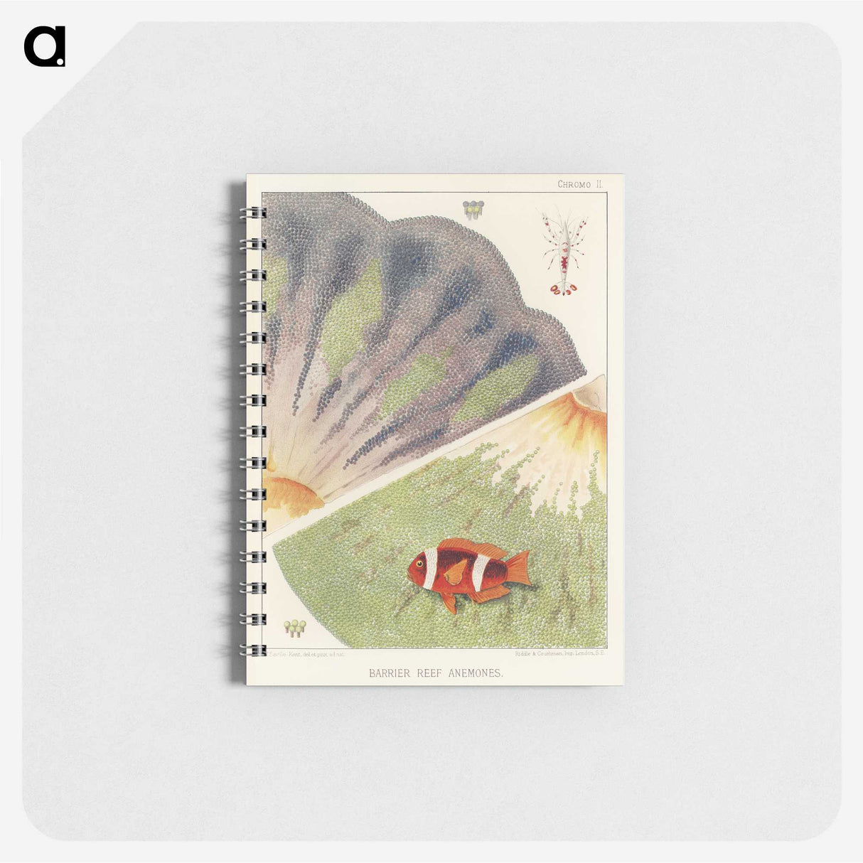 1-12_The-Great-Barrier-Reef-of-Australia_memo