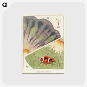 1-12_The-Great-Barrier-Reef-of-Australia_postcard