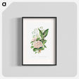 アートポスター-Forget Me Not, Hawthorn and Lily of the Valley from The Language of Flowers, or, Floral Emblems of Thoughts, Feelings, and Sentiments
 - 花言葉 Poster.