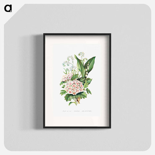 Forget Me Not, Hawthorn and Lily of the Valley from The Language of Flowers, or, Floral Emblems of Thoughts, Feelings, and Sentiments
 - Flower Language Poster.
