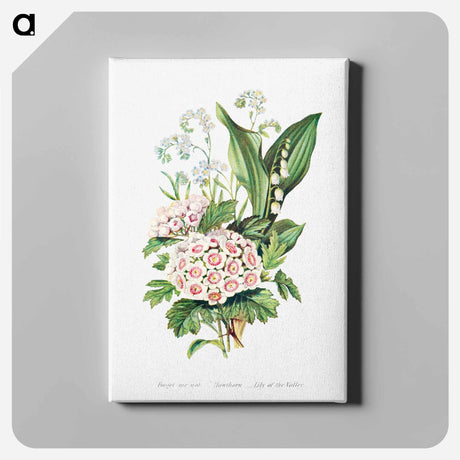 アートパネル-Forget Me Not, Hawthorn and Lily of the Valley from The Language of Flowers, or, Floral Emblems of Thoughts, Feelings, and Sentiments
 - 花言葉 Canvas.