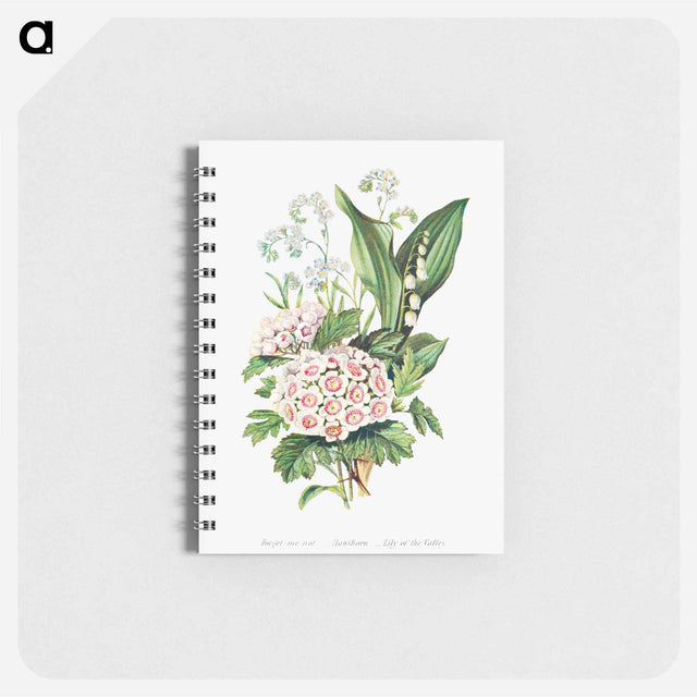 アートメモ帳-Forget Me Not, Hawthorn and Lily of the Valley from The Language of Flowers, or, Floral Emblems of Thoughts, Feelings, and Sentiments
 - 花言葉 Memo.
