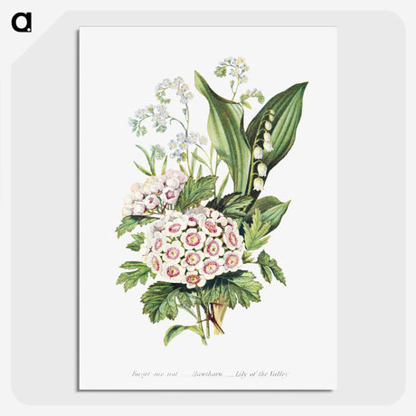 1-12_The-Language-of-Flowers_picture-crop