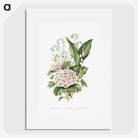 1-12_The-Language-of-Flowers_picture