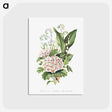 1-12_The-Language-of-Flowers_postcard