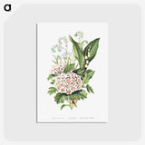 1-12_The-Language-of-Flowers_postcard