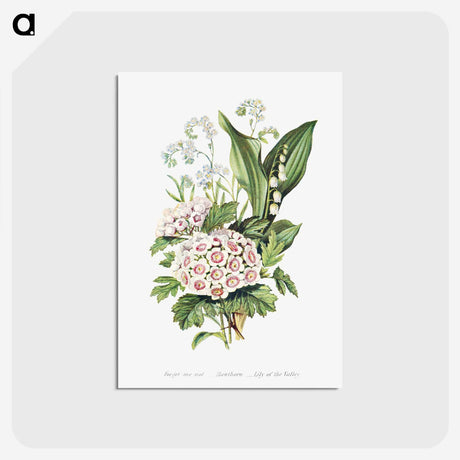 1-12_The-Language-of-Flowers_postcard