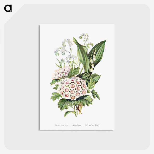 1-12_The-Language-of-Flowers_postcard