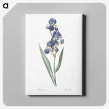 1-12_The-Lilies_canvas