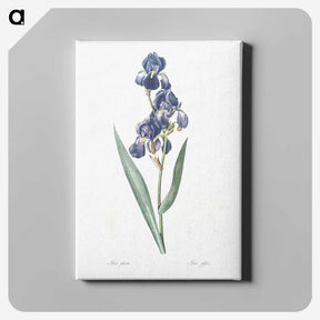 1-12_The-Lilies_canvas