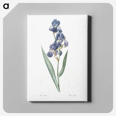 1-12_The-Lilies_canvas