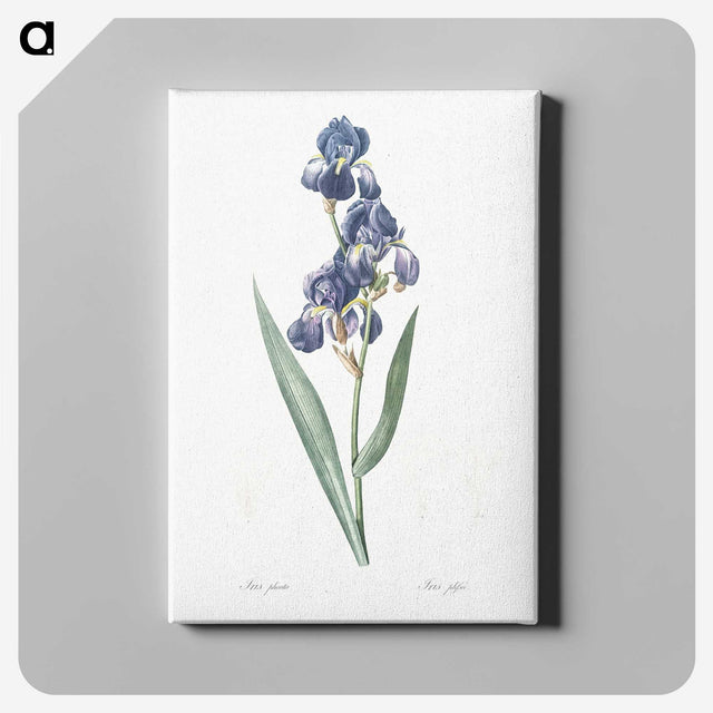 1-12_The-Lilies_canvas