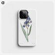 1-12_The-Lilies_phone