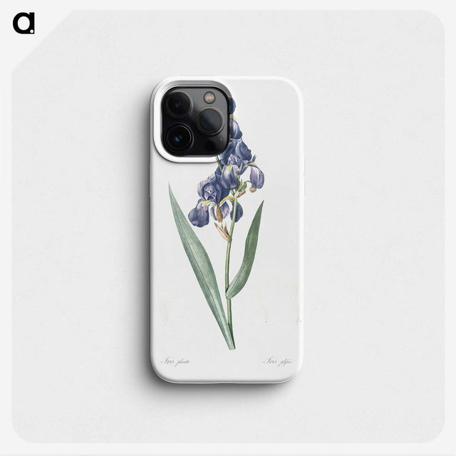 1-12_The-Lilies_phone