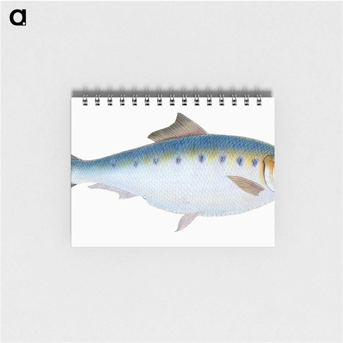 1-12_The-Natural-History-of-British-Fishes_memo