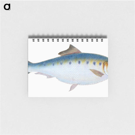 1-12_The-Natural-History-of-British-Fishes_memo