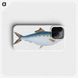 1-12_The-Natural-History-of-British-Fishes_phone