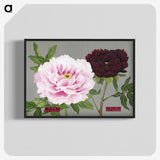 1-12_The-Picture-Book-of-Peonies_blk-crop