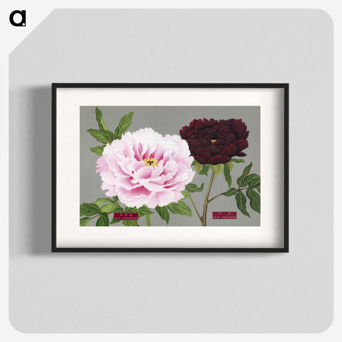 1-12_The-Picture-Book-of-Peonies_blk