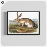 1-12_The-Viviparous-Quadrupeds_blk-crop