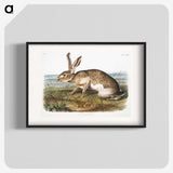 1-12_The-Viviparous-Quadrupeds_blk