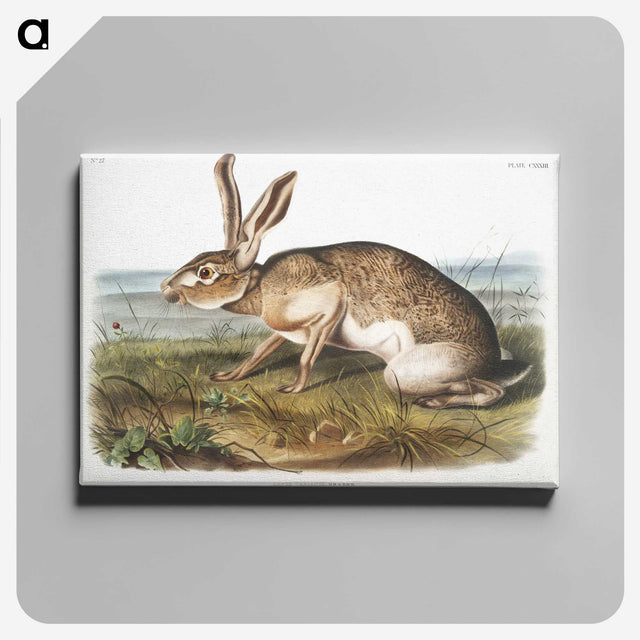 1-12_The-Viviparous-Quadrupeds_canvas