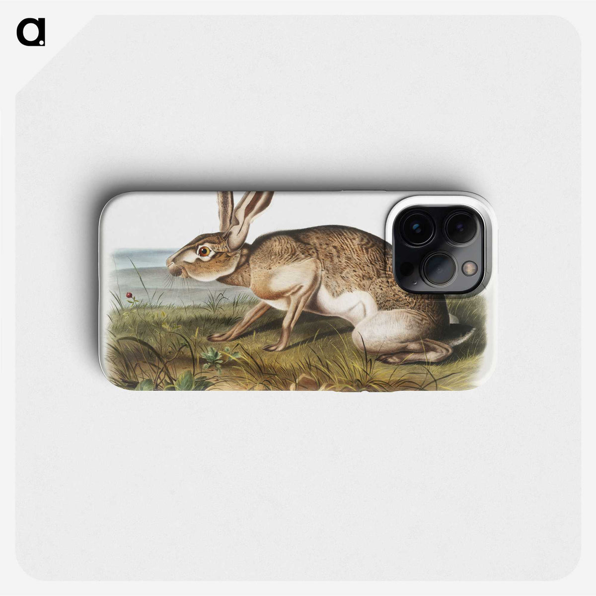 1-12_The-Viviparous-Quadrupeds_phone