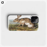 1-12_The-Viviparous-Quadrupeds_phone
