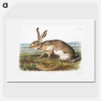 1-12_The-Viviparous-Quadrupeds_picture