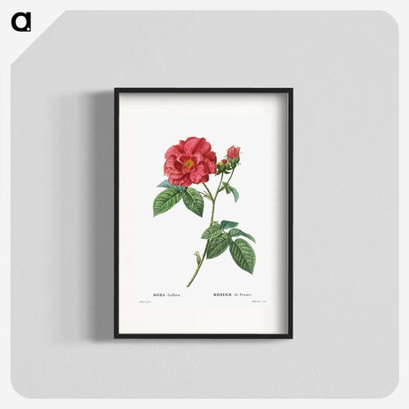 1-12_Treatise-on-Trees-and-Shrubs_blk