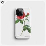 1-12_Treatise-on-Trees-and-Shrubs_phone