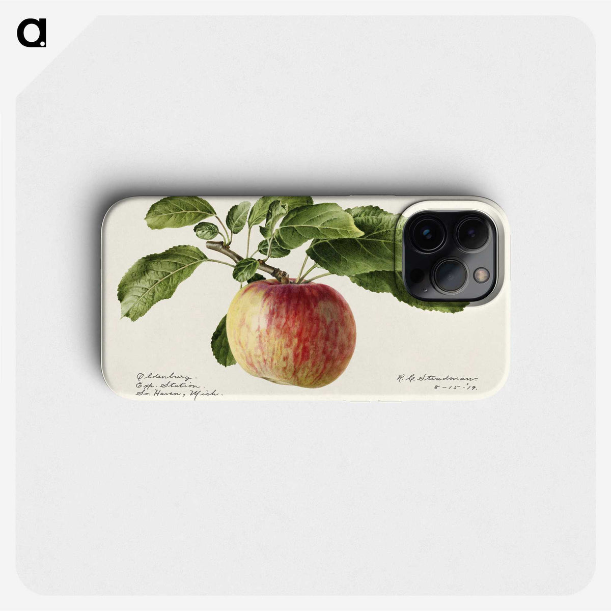 1-12_USDA-Watercolor-Fruit-Painting-Collection_phone