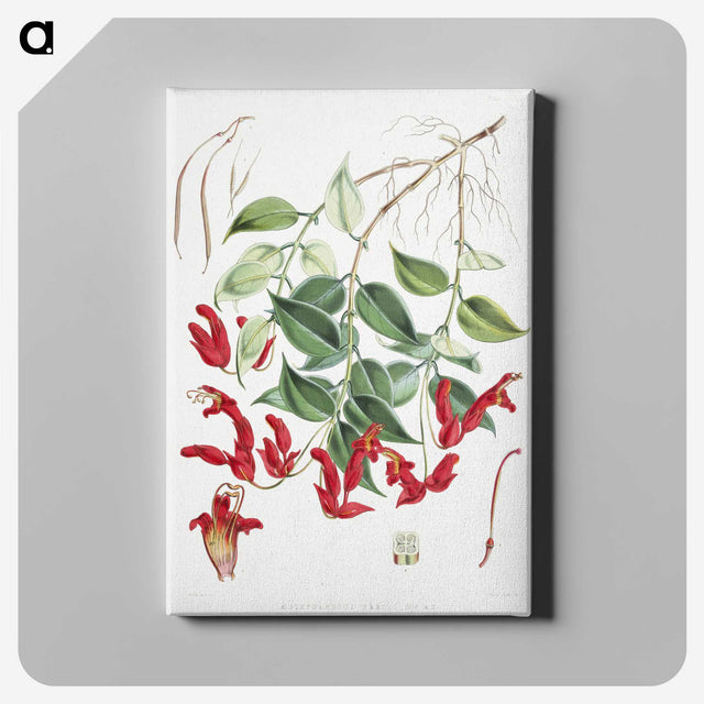 1-12_Walter-Hood-Fitch_canvas