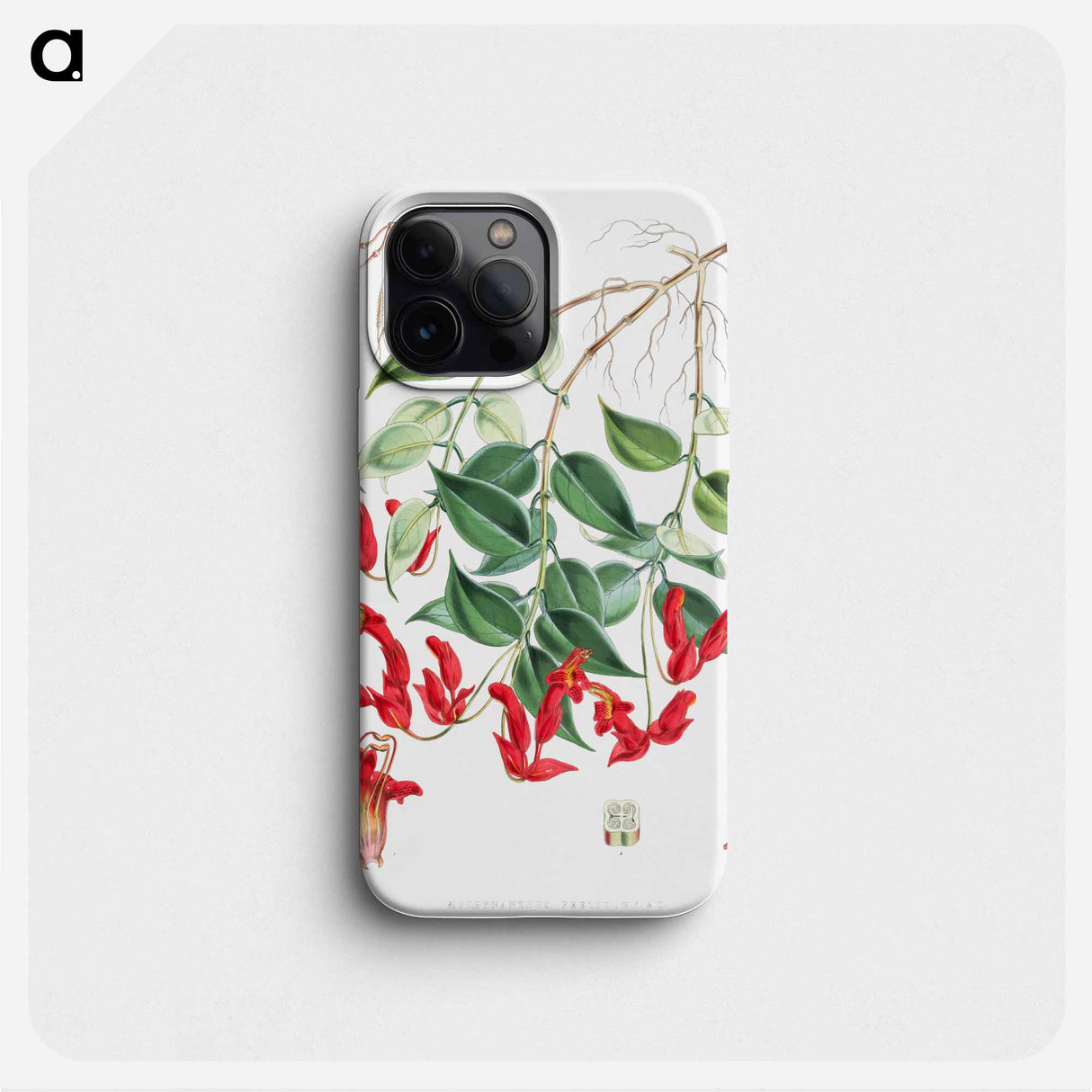 Aeschynanthus Peelii - ウォルター フッド フィッチ Phone Case.