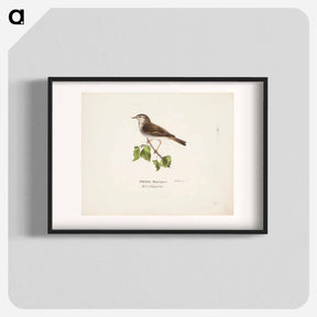アートポスター-Willow warbler - ヴィルヘルム フォン ライト Poster.