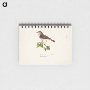 アートメモ帳-Willow warbler - ヴィルヘルム フォン ライト Memo.