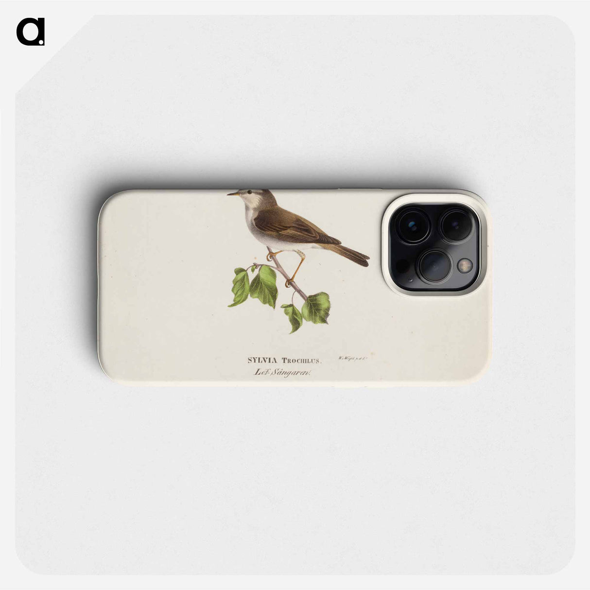 Willow warbler - Wilhelm von Wright Phone Case.