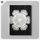 1-12_Wilson-Bentley_canvas
