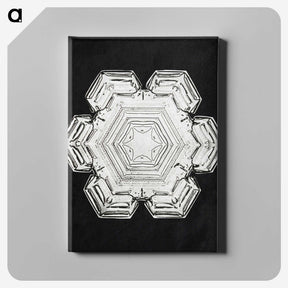 1-12_Wilson-Bentley_canvas