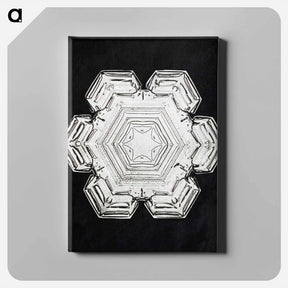 アートパネル-Wilson Bentley's Snowflake 10 - ウィルソン ベントレー Canvas.