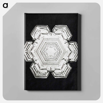 Wilson Bentley's Snowflake 10 - ウィルソン ベントレー Canvas.