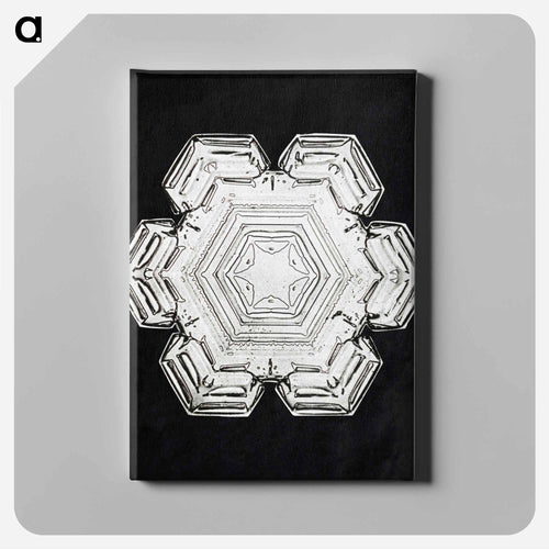 Wilson Bentley's Snowflake 10 - ウィルソン ベントレー Canvas.